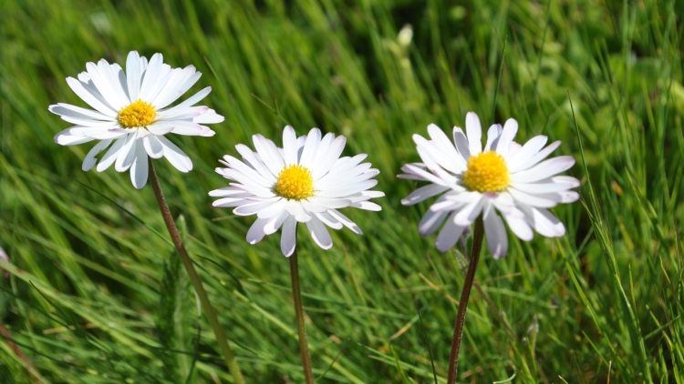 T'RUIH T'NGAY 29/10/2022