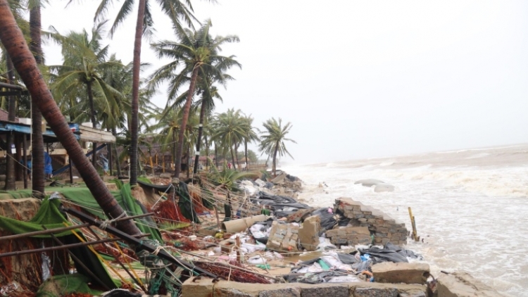 Bình Định zooi 6 tỉnh, thành 3,5 tỷ đồng pa liêm rau boo đhí tuh bhlong đơc lơi