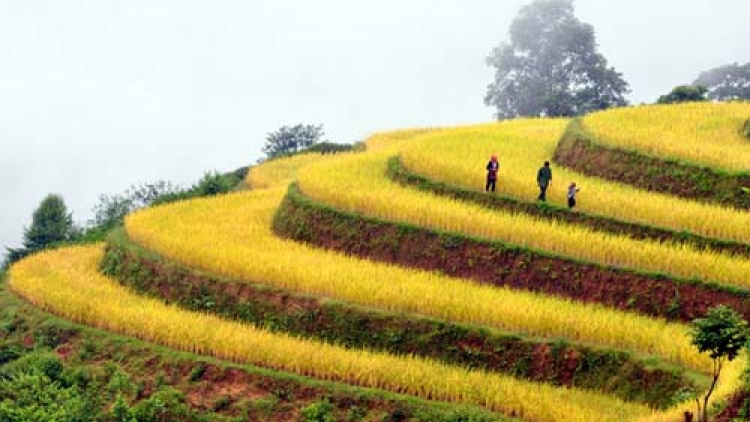 DƯƠNG CHỒM TỔNG NÀ SLÚC LƯƠNG DÚ XÀ PHÌN