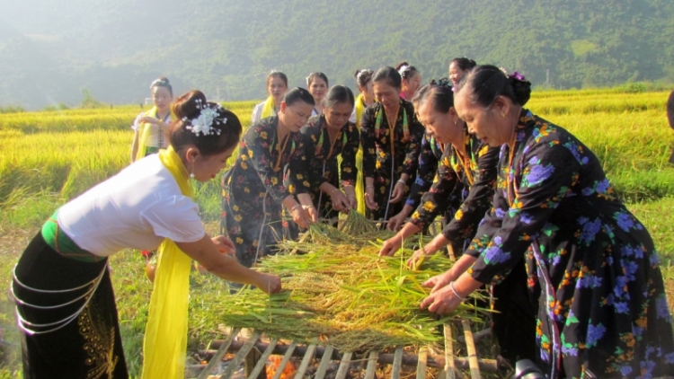 Lầy tzình  phát sinh ìu miền vả thứ 7 hoi 29.10.2022