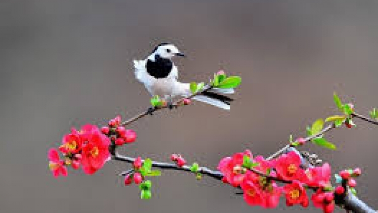 T'RUIH T'NGAY 26/10/2022