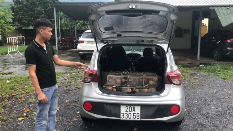 Quảng Trị: Coọp k’đhơợng ôtô âng đơơng 66 p’nong xong cr’đêê cắh liêm ghít tơợ ooy 