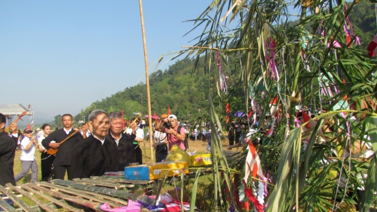 Phai paz nhây phiến thứ 4 hnoi 2.11.2022
