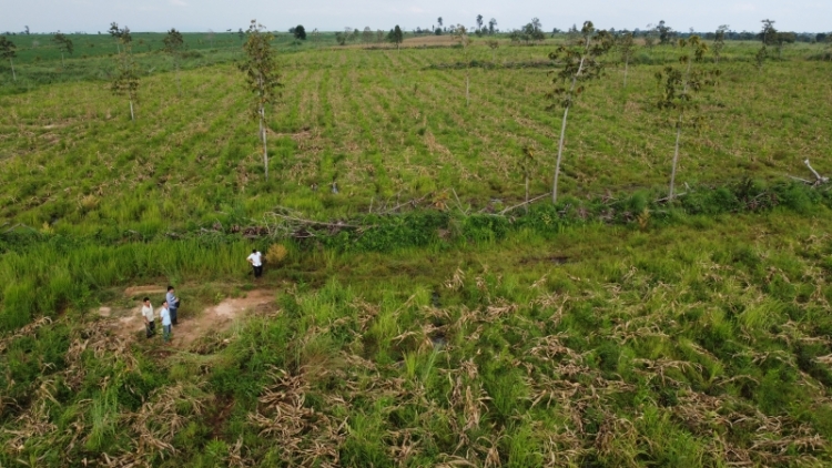 Nde tâm trong nchrăp kan tuch tăm - nkre tăm bri, doanh nghiệp ta Dak Lak lơh bri gay tăm 