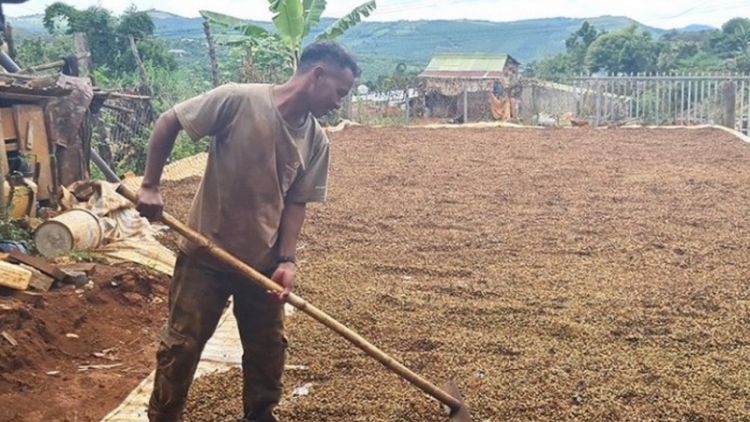 Daknông hưn brei răng kơ klei tlĕ dăp yan kphê ksă 2021-2022 