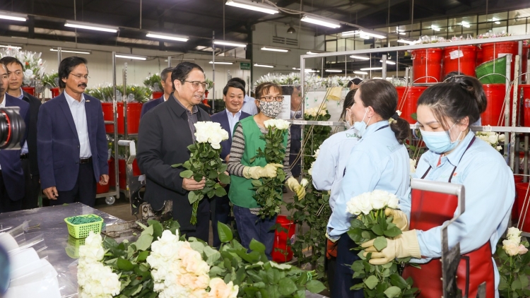 Khua knŭk kna: Mkŏ mkra Lâm Đồng jing boh kdrŭt mđĭ kyar krĭng Lăn dap kngư lehanăn kluôm ala