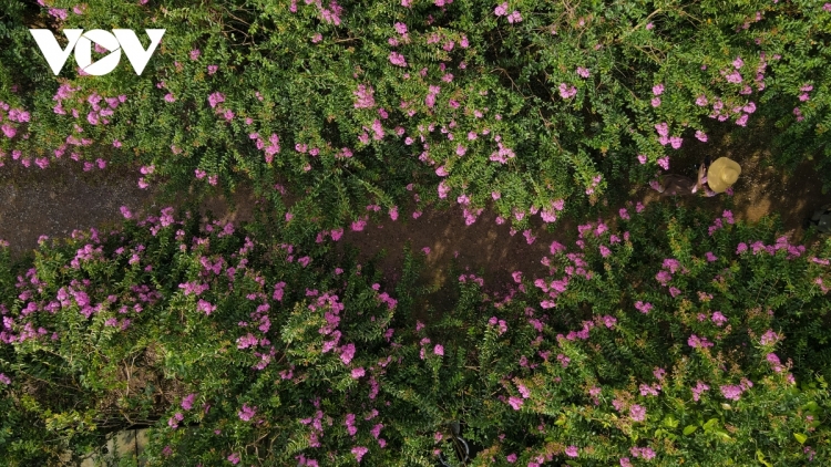 T'RUIH T'NGAY 21/11/2022