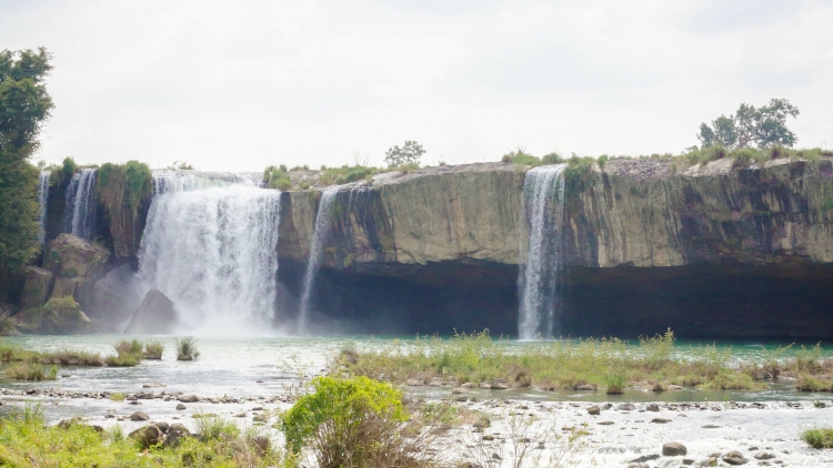 Cám ơn Nhà nước
