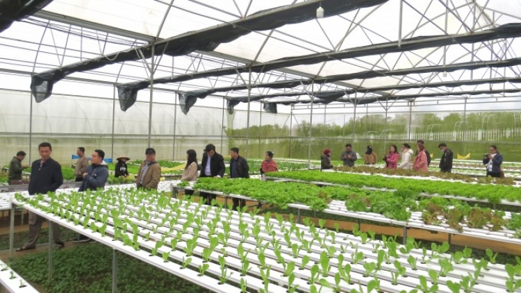 MĐĬ BOH TŬ BOH MNGA BRUĂ LŎ HMA KRĬNG ČƯ̆ ČHIĂNG KNÔNG LĂN QUẢNG TRỊ