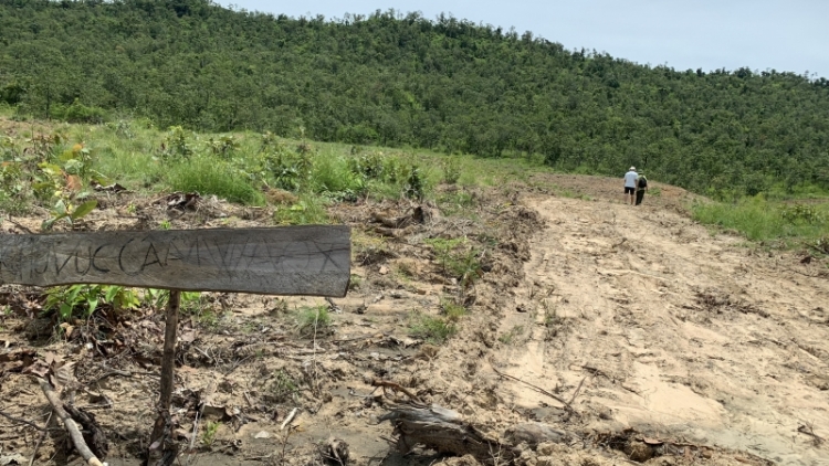 Gia Lai: Dleh dlan klei tĭng dlăng hlăm bruă răng mgang dliê 