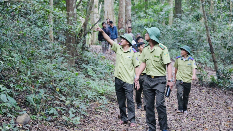 Gia Lai: Tơn jơh 5 nam sơlơ tơnguh bơta đơng lam bơh Đảng dê tàm sền gàr mờ bơtàu tơnguh brê