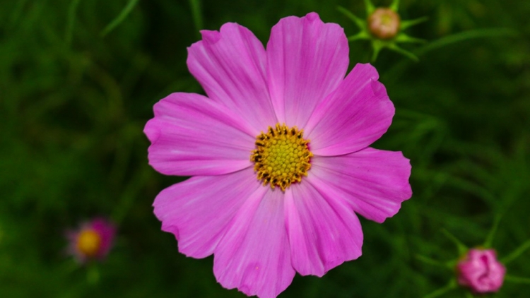 T’RUIH T’NGAY 01/12/2022