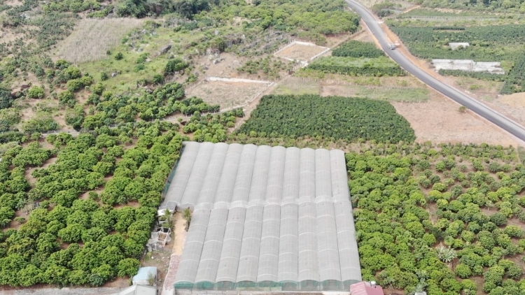 Chương trình phát thanh quam Tay thứ 5 mự 10 bườn 11 pì 2022