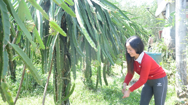 Tr’xăl cóh vel đha đhâm c’moor bhrợ cha A Lưới