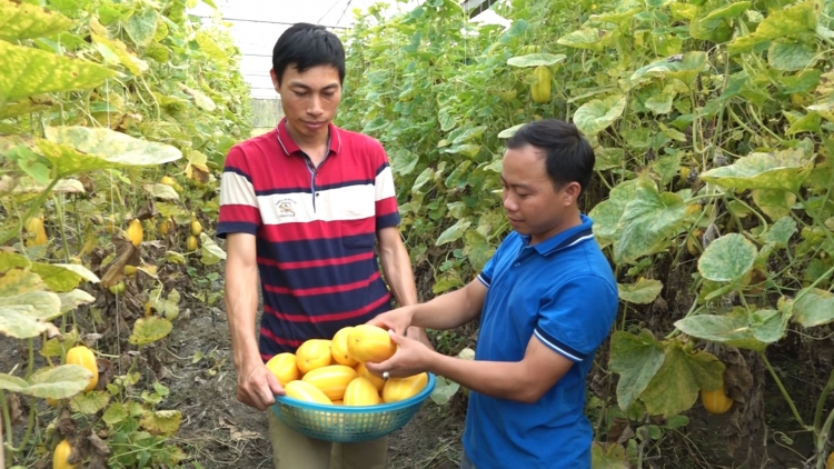 CHÀI CẦN TÀY NÂNG ĂN PI HẾT ĐẢY PUỐN TỶ MƯN TỨ ĐĂM CHAY SLÂƯ ĐÂY