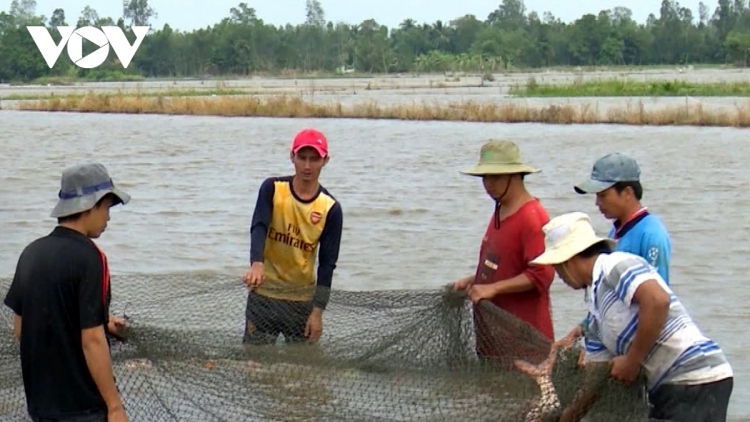 កសិករហូវយ៉ាងផលិតសម្របតាមធម្មជាតិក្នុងរដូវទឹកជំនន់