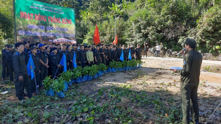 Nam Trà My đh’rưah lươt choh crâng đha lum bêl T’ngay Lâm nghiệp Việt Nam