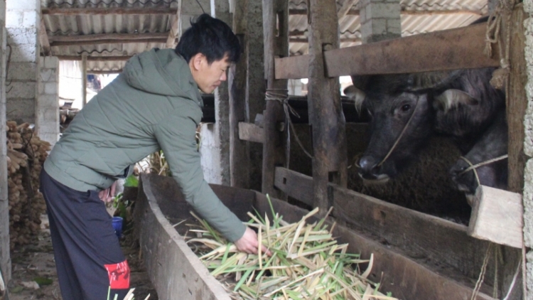 Chương trình phát thanh quam Tay thứ 2 mự 7 bườn 11 pì 2022