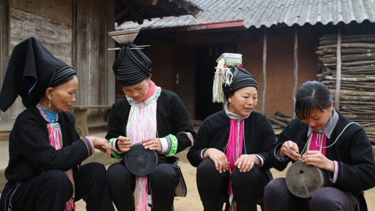 Lầy tzình páo dung chủ nhật hnoi 6/11/2022