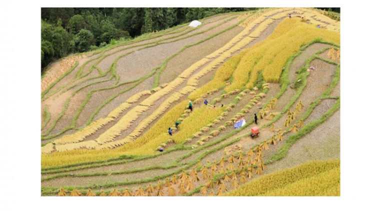 Liên kết khai thác lợi thế, phát triển bền vững du lịch Hà Giang