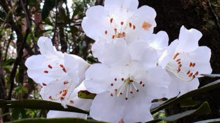 T'RUIH T'NGAY 9/11/2022