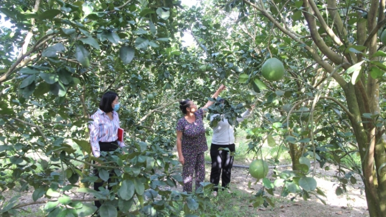 Khánh Hòa: Đơơng âng zên bh’rợ xa nay pa xiêr tươc đha nuôr da ding ca coong