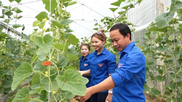 Ba bruă lŏ hma hŏng hdră mrâo mrang truh hŏng phung ƀuôn sang