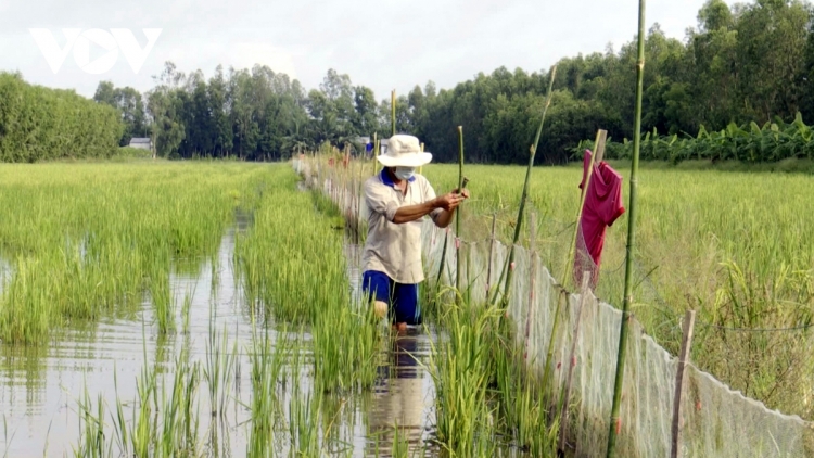 URANG NGAK NONG HAU GIANG PATUI HATAI PO LANGIK DALAM BILAN IA NDIK