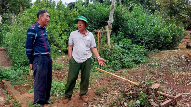 Phŭn klei bi mguôp klei khăp ƀuôn sang