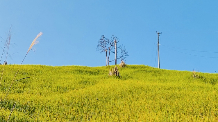 Hân noo ha roo đoọm coh da ding ca coong Nam Giang