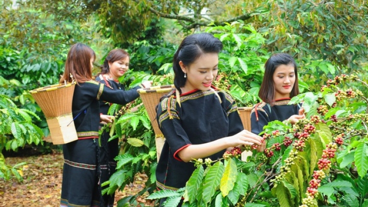 BA PANDAR ILAMU KONG NGHE DALAM CAKROK BHRUK NGAK MBANG BHUM TAY NGUYEN