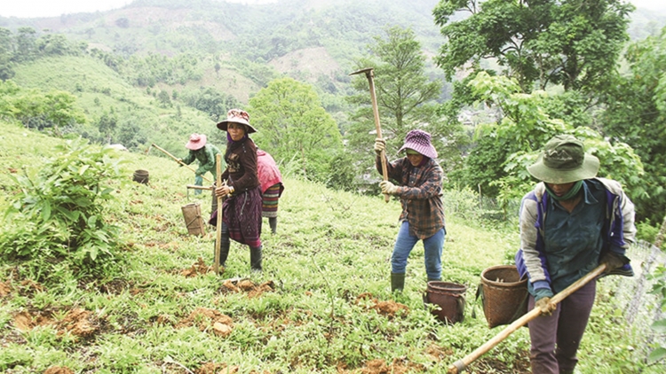 Lơh jăt broă pơgồp jơnau đơs bơh làng bol gơwèt mờ jơnau rơcang cih Adăt ù tiah tam gơl