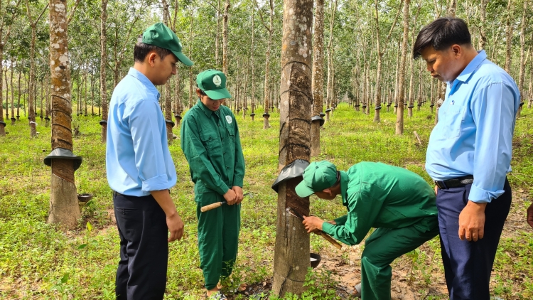 Gia Lai: Pơyan puih mak vih tơ̆ tơring sơlam Ia Mơr