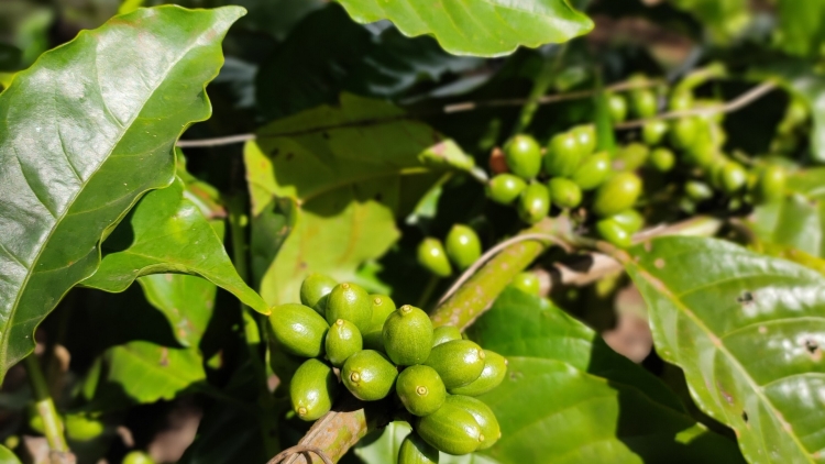 A bro ƀô̆ đô̆i neh 