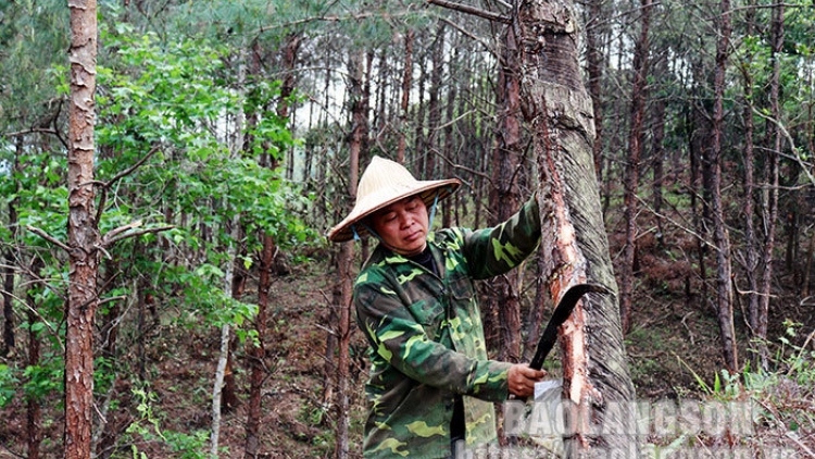 Đhanuôr acoon cóh zr’lụ k’noong k’tiếc Lạng Sơn bhrợ cha k’van tơợ crâng h’ngoo