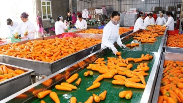 Tơdrong hơmŏ jang hơdoi teh đak kon pơlei lơ̆m atŏk tơ iung hơnĭh jang ‘nhot sa plei ‘long Việt Nam