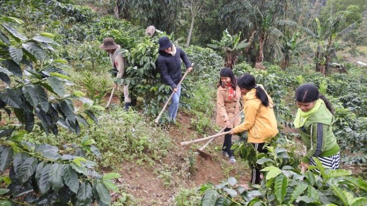 Kơpong cheăng kâ xiâm Kon Plông bu mơjiâng kế tơmeăm pêi lo ing chiâk deăng tiô túa ki iâ êt