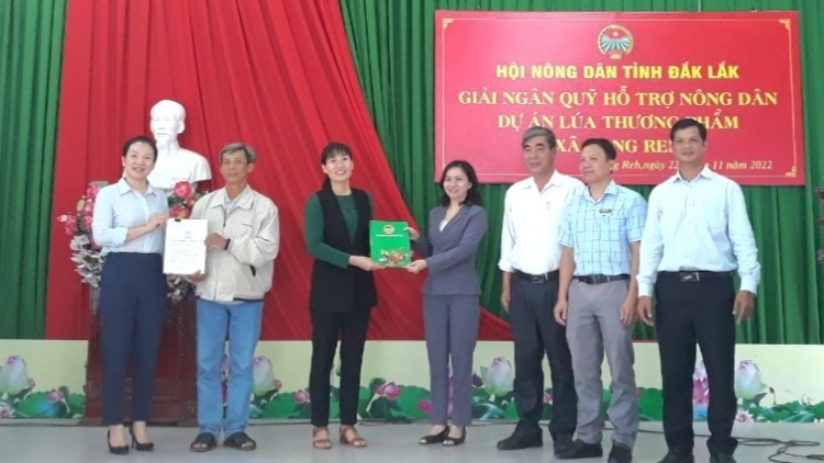 Đăk Lăk: Hloh 52 rơtăl hlj tơgŭm ăn kon pơlei jang mir hơtŏk pơm jang