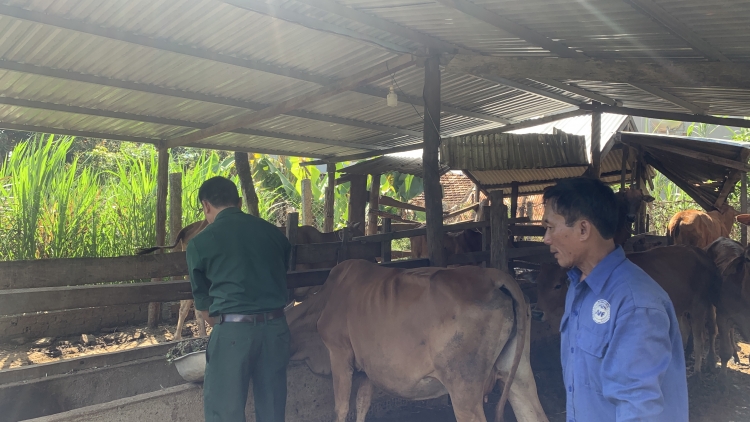 Ling tơhan pơgang guai dêh čar pơdŏng plơi pla phrâo ƀơi să guai dêh čar Ea Bung