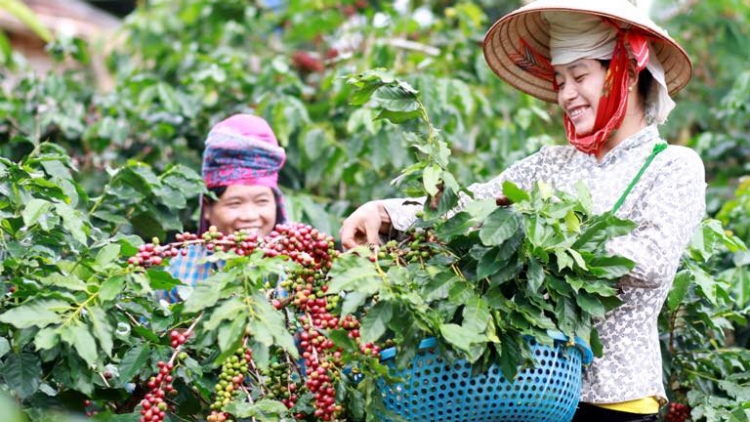 NGAK HABAR PIAH DUI PACHREIH BRUK NGAK NONG PANDAR ILAMU CÔNG NGHỆ GLAONG DI BHUM BHAP BINI BANGSA TAKIK SAONG BHUM CEIK?