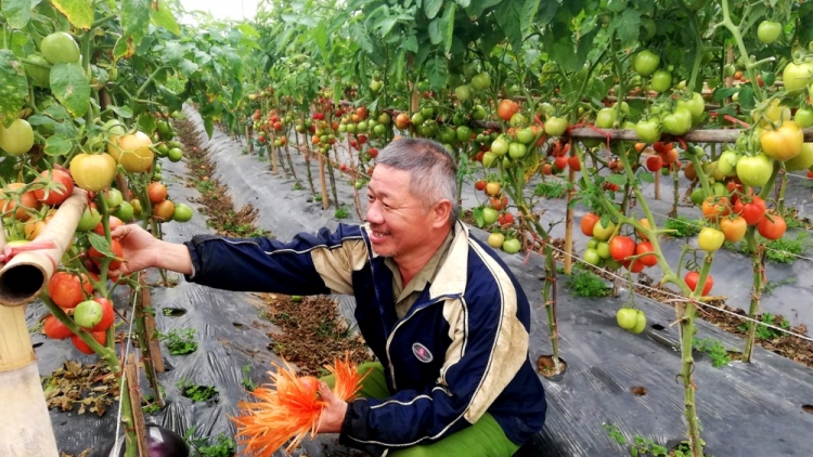 Tsaz yênhx nta suôz luk Hmôngz hnuz 2-12-2022