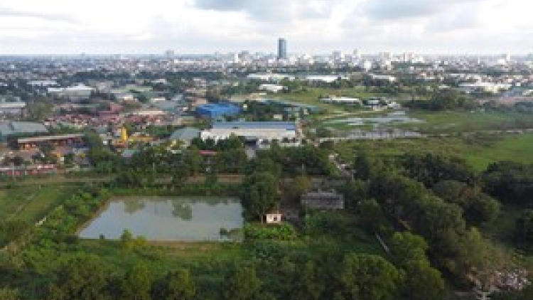 Phú Yên đơc đoọng ha k’noọ 800 ha k’tiêc k’ruung đoọng bhrợ đong ăt