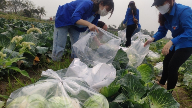 Tah lôi pá puât tung tê tơmeăm pêi lo ing chiâk deăng kơpong kong ngo
