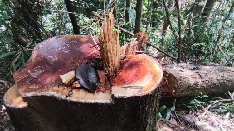 Tô tuăn tơdroăng ko ‘nhiê kong tơpui a rôh hôp Hô̆i đong hnê ngăn kong pơlê Kon Tum