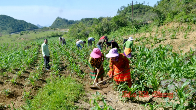 Tsaz yênhx nta suôz luk Hmôngz hnuz 28-12-2022