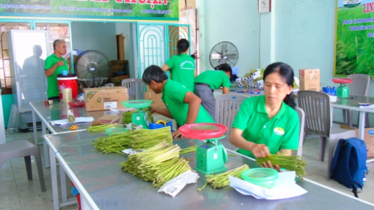 PAGLAONG YAOM PANDAP OCOP, DALIKAN MENG PHUN MANG TAY XANH