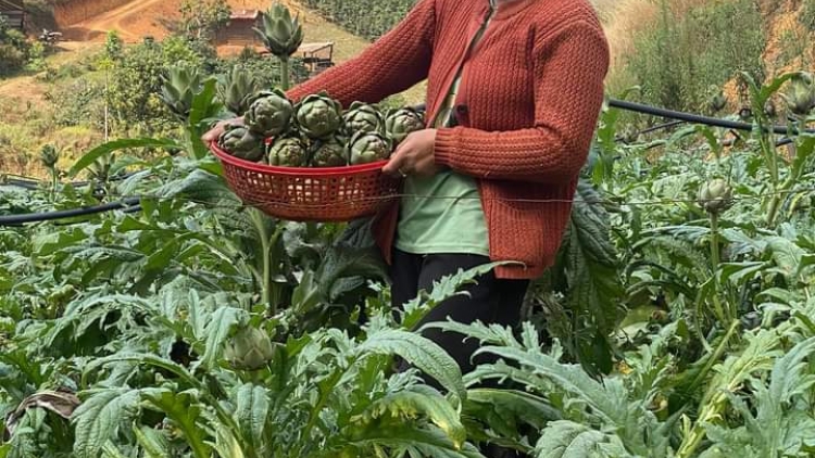 Kon pơlei kiơ̆ lui tơ̆ Lâm Đồng nôel hiôk chơt