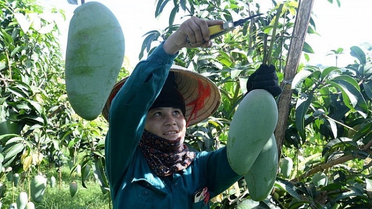 Ngon tô thứ 6 mự 30 bườn 12 pì 2022 – Nhăng mi lài khù dạk cha cuồng vịa tẳng tánh bản na mắư nẳng Sờn Là