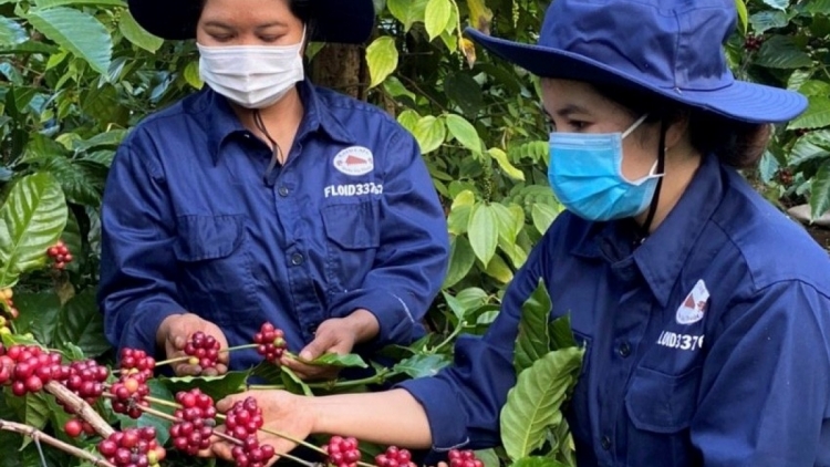 Tam gơl mờng kwèng lơh sa suơn sre, cau jơi bơtiàn kòn cau dùl êt nă cau tàm càr Dăk Lăk geh rài kis hờm ram