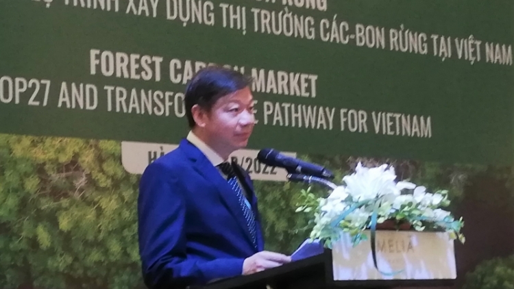 Bhrợ pa dưr thị trường các-bon crâng coh Việt Nam